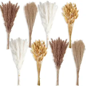 200 PCS Small Boho Pampas Grass, 17" Naturally Dried Pompas, Pampas Grass Decor for Wedding , Boho Party Decorations, Table Decor（Brown and White）