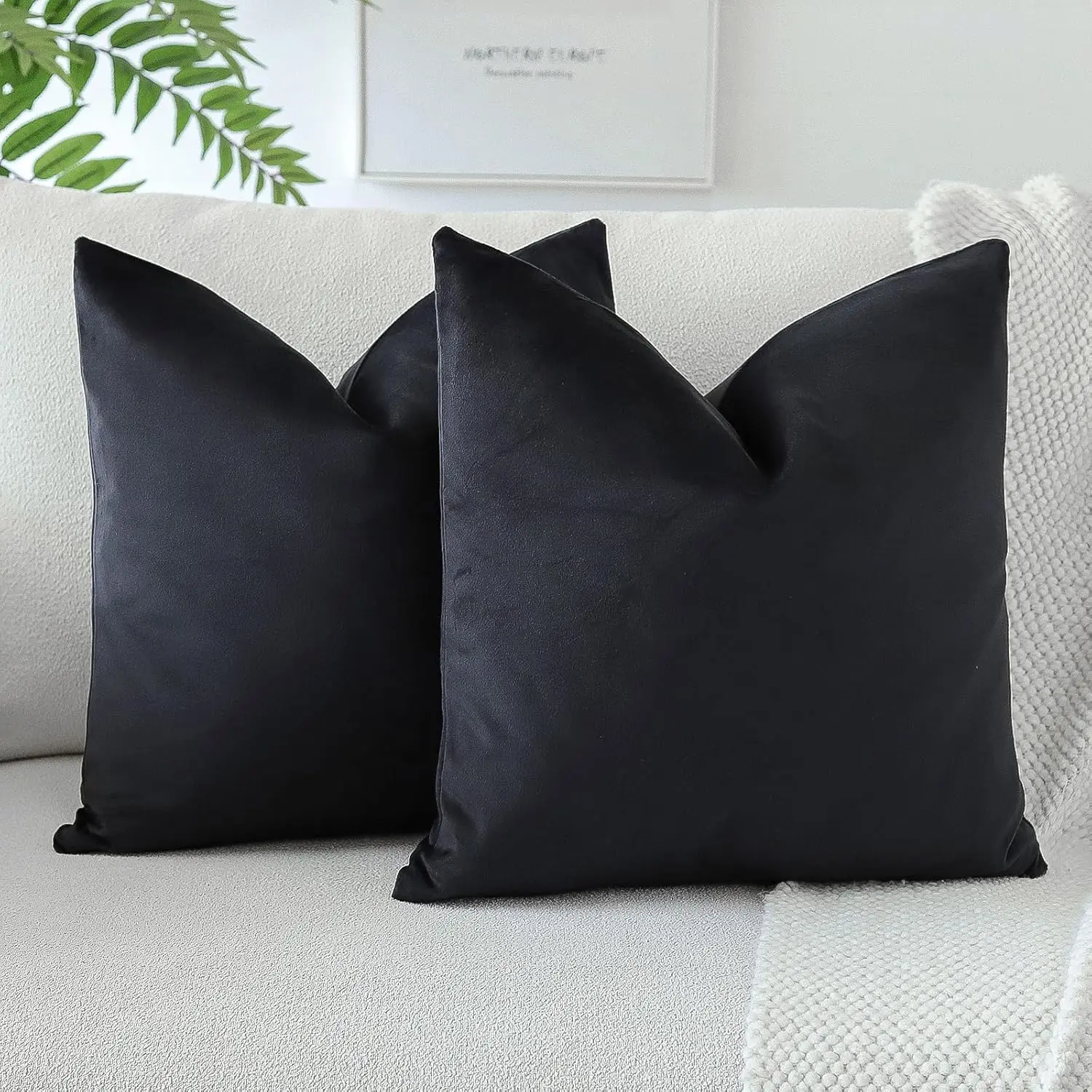 2-Pack Velvet Soft-Texture Decorative Throw Pillow Covers, 18x18 in Modern Square Cushion Cases for Sofa, Bedroom Room Decor (Black)