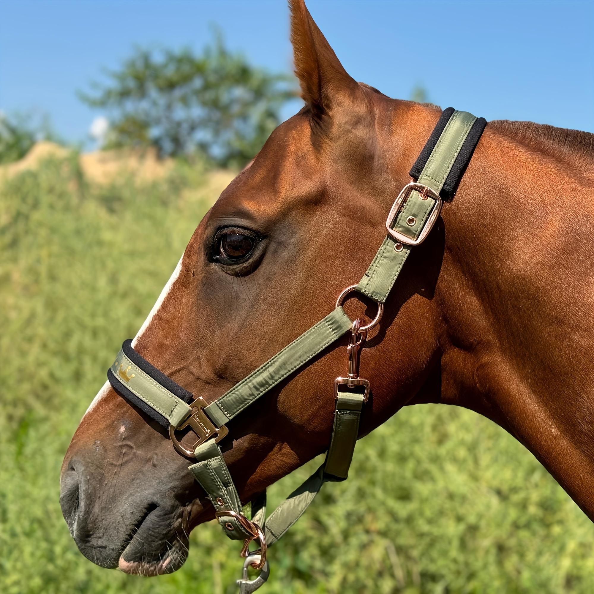 Horse Halter, Adjustable Horse Head Collar with Soft Pading, Glossy Horse Halter, Equestrian Supplies for Horse Riding