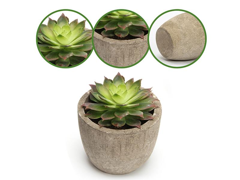 Artificial Succulent Plants Potted, Assorted Decorative Faux Succulent Potted Fake Cactus Cacti Plants with Pots, Set of 5