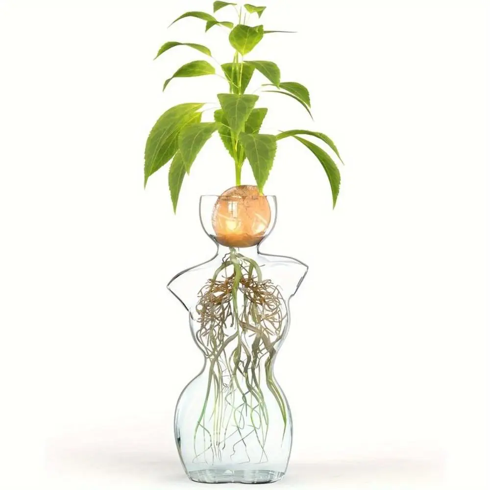 Vintage Glass Vase with Wooden Frame, Decorative Vase, 1 Countb Modern Desktop Plant & Bonsai Display Rack, Elegant Home Decor for Living Room Office Balcony, Interior