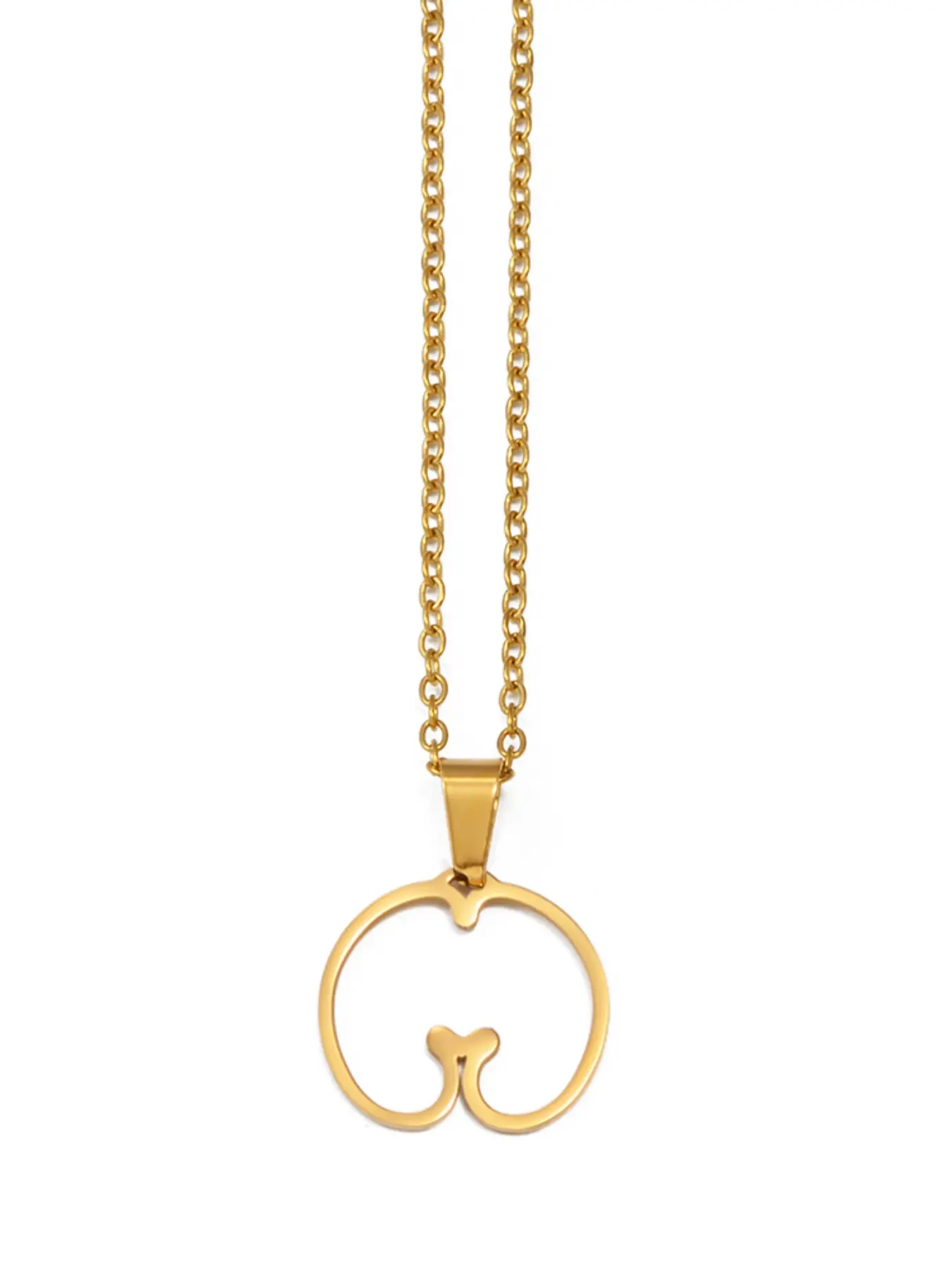 1Piece Outline Coco De Mer and Heart African Seychelles Flag Pendant Neckalces Jewelry
