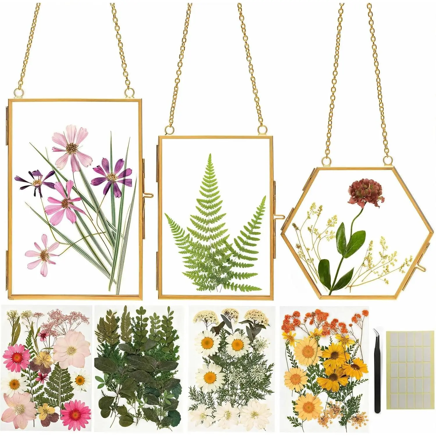 Relaxing Garden Pressed Flower Frame Kit with 3 Hanging Glass Frames