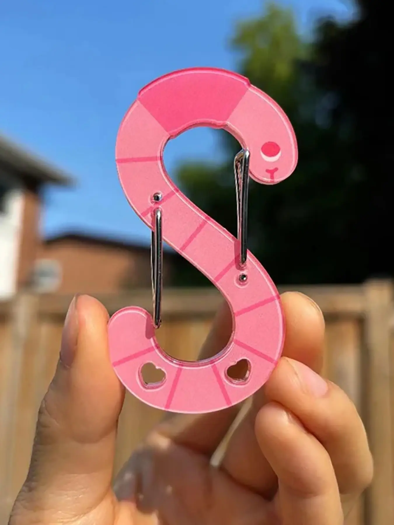 Earthworm Acrylic Carabiner Keychains, Unique Bag Keyrings, Stylish Jewelry for Fans, Perfect Gift Idea, Durable & Lightweight Design