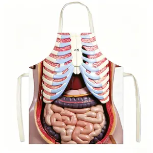 Anatomy Print Kitchen Apron, Waterproof Oilproof, Adjustable Neck Strap, Fun Gift for Medical Students, Nurses, Halloween.1pc