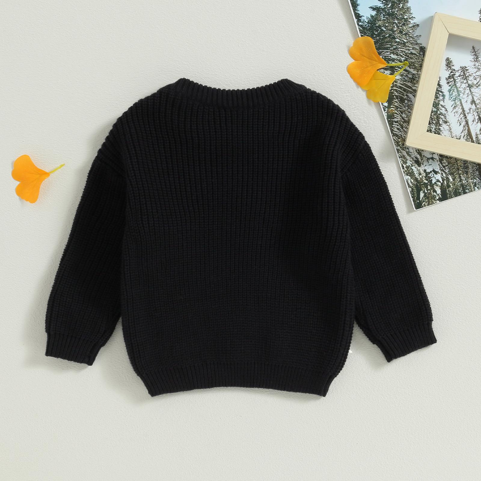 Toddler Baby Girl Knit Sweater Blouse Pullover Sweatshirt Flower Embroidery Warm Long Sleeve Tops 0-5 Years
