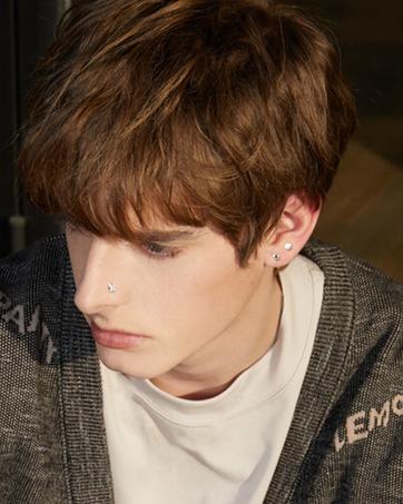 Fansilver 16G Threadless Push in Lip Rings Stainless Steel Tragus Helix Earrings Studs Nose Rings for Women Men Monroe Lip Cartilage Piercing Jewelry Fansilver 16G Threadless Push in Lip Rings Stainless Steel Tragus Helix Earrings Studs Nose Rings for Women Men Monroe Lip Cartilage Piercing Jewelry