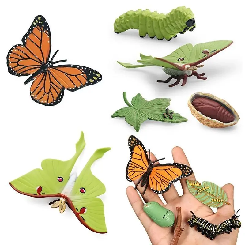 Simulation Insect Growth Trajectory Model Butterfly Moon God Moth Style Bionic Miniatures Outdoor Science Nature Exploration ZYF