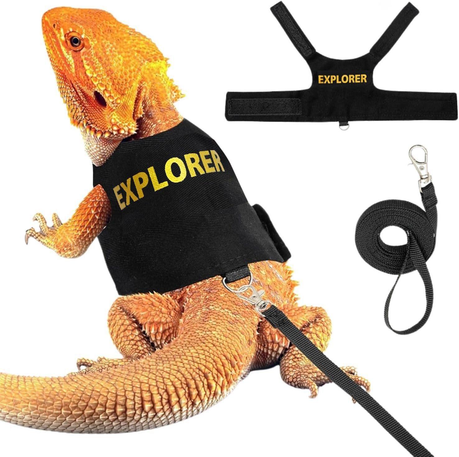 Lizard leash, reptile outdoor harness, chameleon and squirrel leash and clothing, small pet supplies nest DIY Metal Playpen with Skylight Silent Exercise Wheel