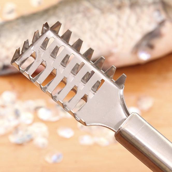 Fish Scale Remover, 2PCS Stainless Steel Fish Scaler Tool with Sawtooth Edge for Kitchen, Cooking & Outdoor Use