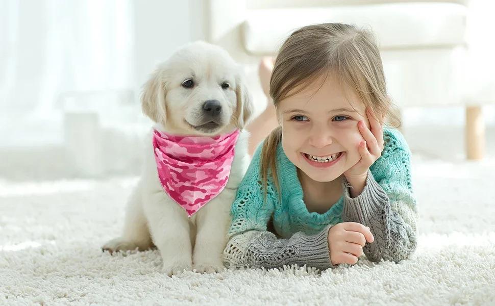 Dog Harness Suit Include Vest Harness Collar Leash Handkerchief Scarf Poop Bag Accessories for Pet Cat Dogs Supplies Set  Dog Accessories