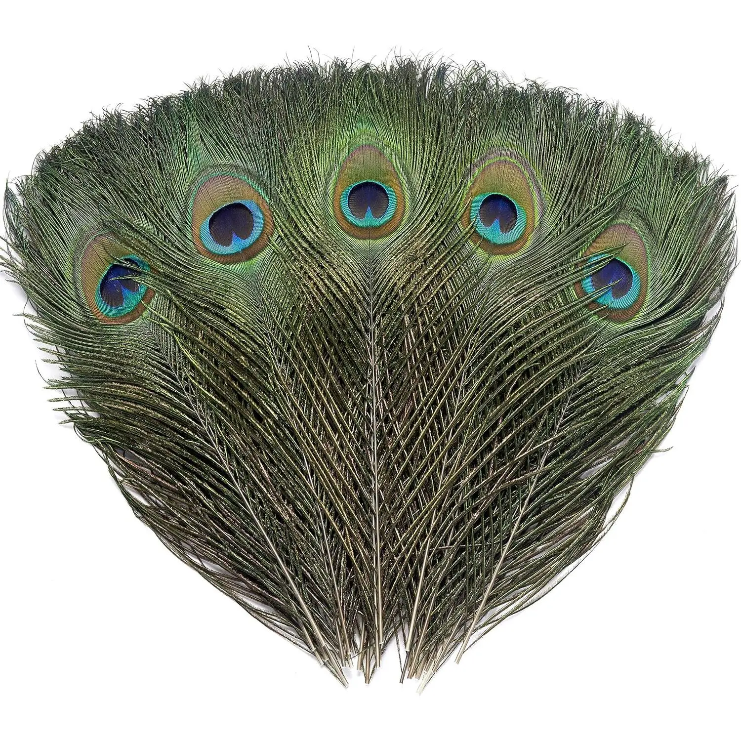 6-Pack Colorful Natural Big Peacock Feathers (10-12 inch) - Festive Home & Wedding Decor Ornaments for DIY Crafts, Hat Embellishments