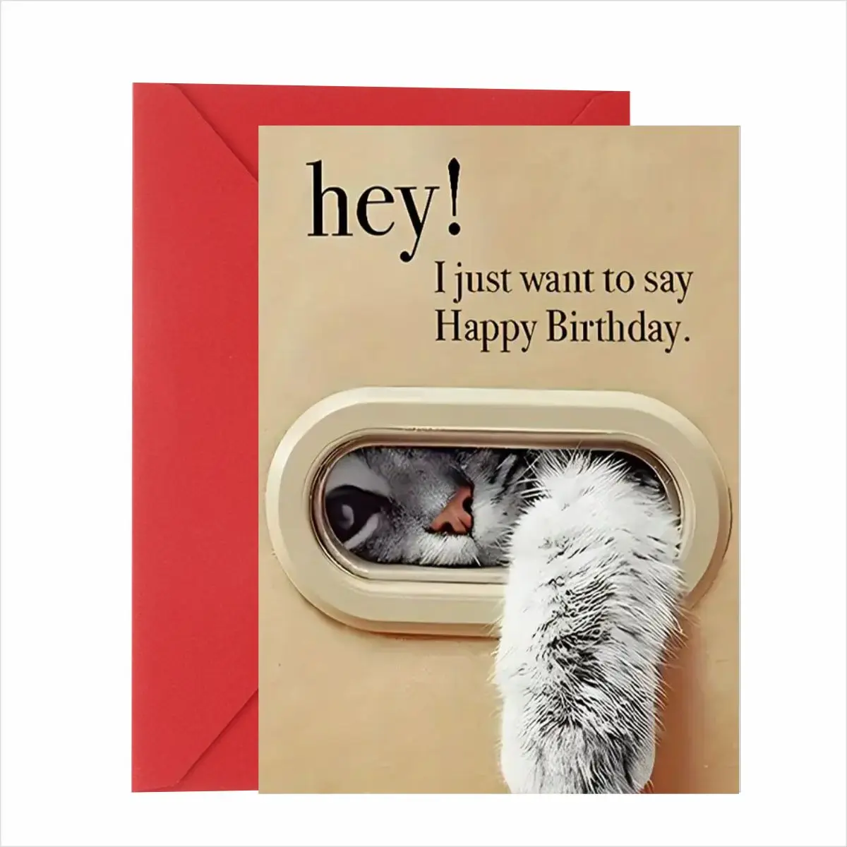 1-Piece Birthday Greeting Card, Card with envelope: 3D design, fluffy cat paw + peekaboo face through a window! Playful hey! typography + warm birthday message. Premium textured paper + bold red envelope. perfect for gifting to cat l