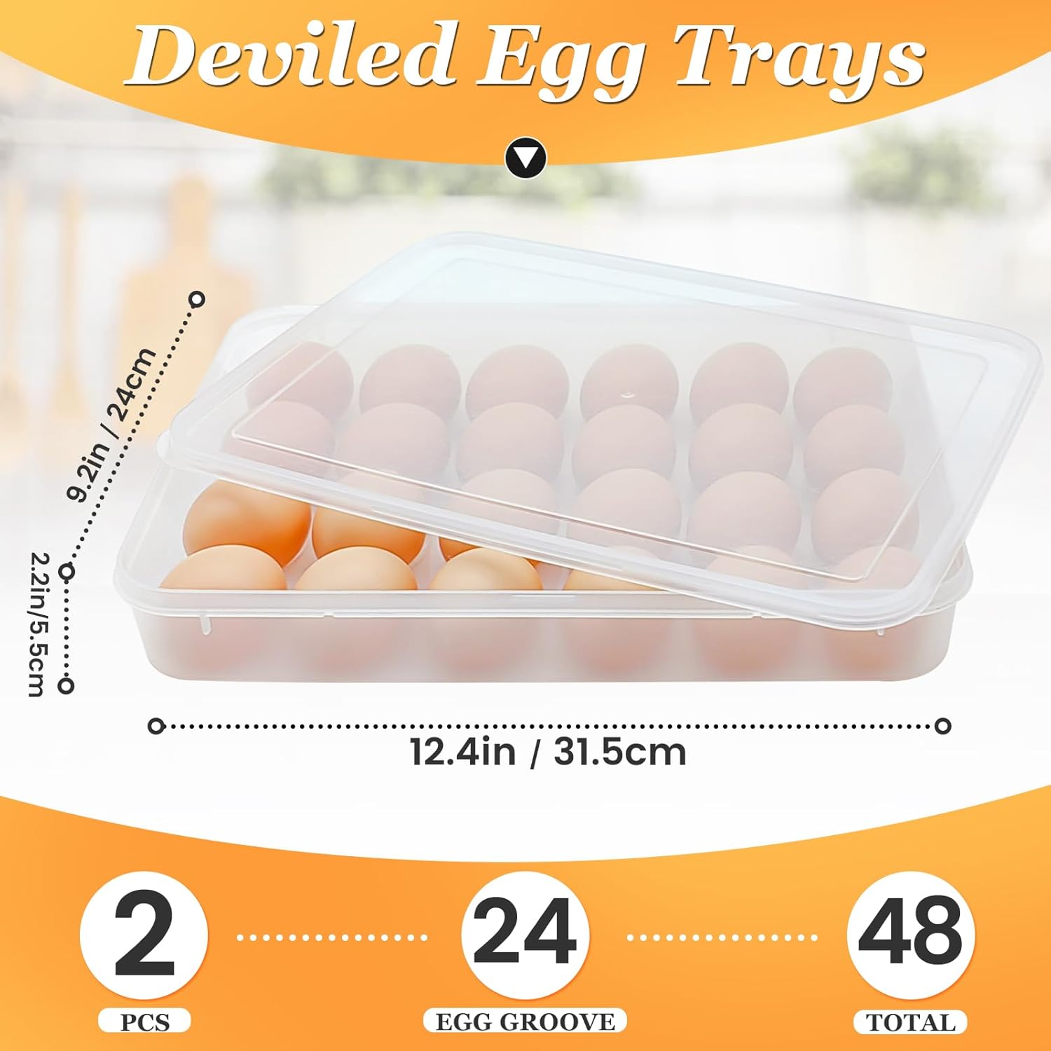 2 Pack Deviled Egg Containers with Lid,Stackable Plastic Egg Holder for 48 Eggs,Clear Egg Storage Carrier for Fridge,Easter,Thanksgiving Party Kitchen Supplies