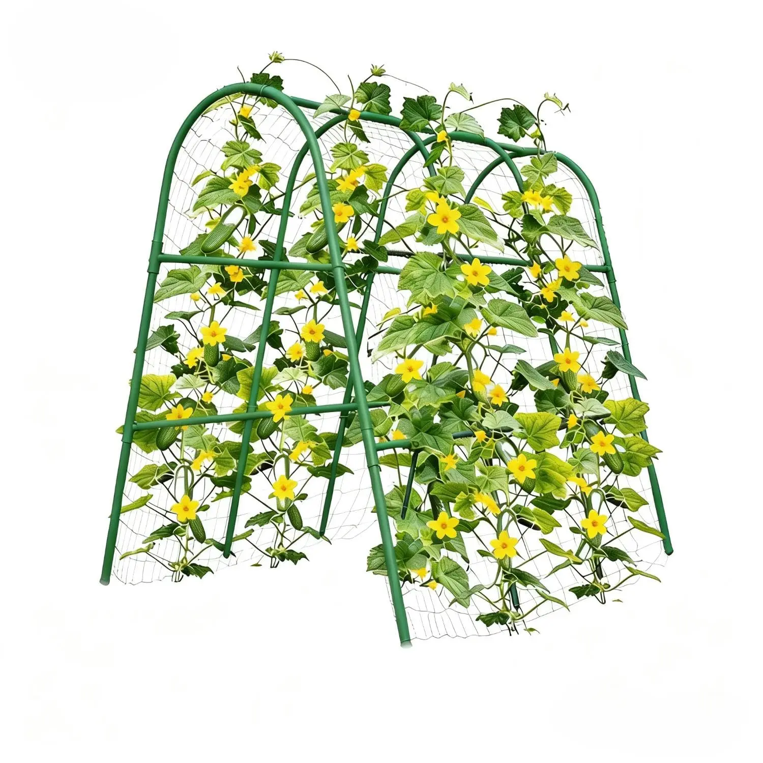 Green Metal Garden Arch Trellis for Raised Beds – Rust-Resistant Outdoor Plant Support for Cucumbers, Melons, Grapes, Roses & Climbing Veggies