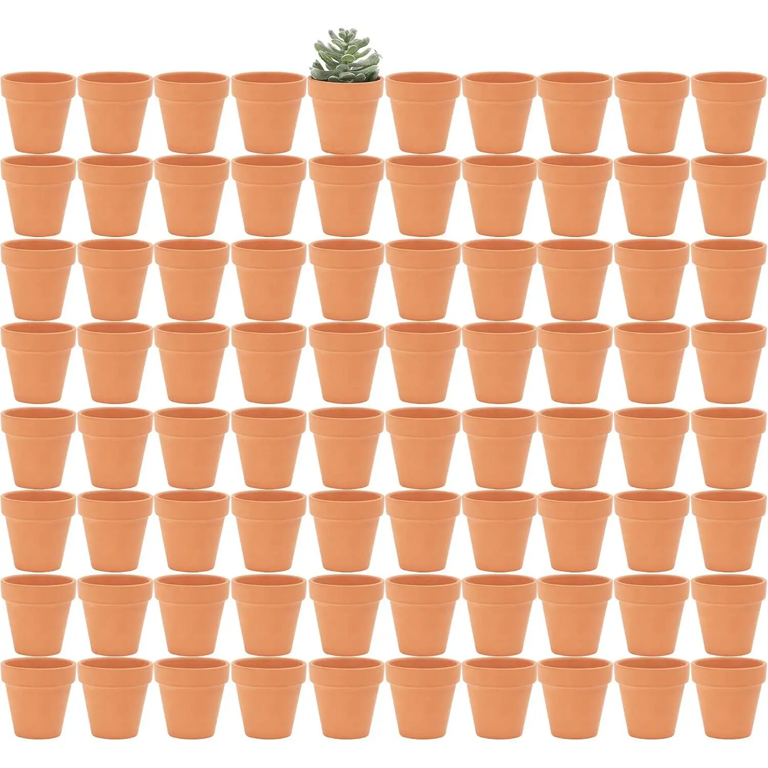 2 inch Small Terracotta Pots with Drainage Holes,Mini Clay Ceramic Pottery Planter,Cactus Flower   Cotta Pots, for Indoor/Outdoor Succulent , Crafts, Wedding Favor(80 Pack)