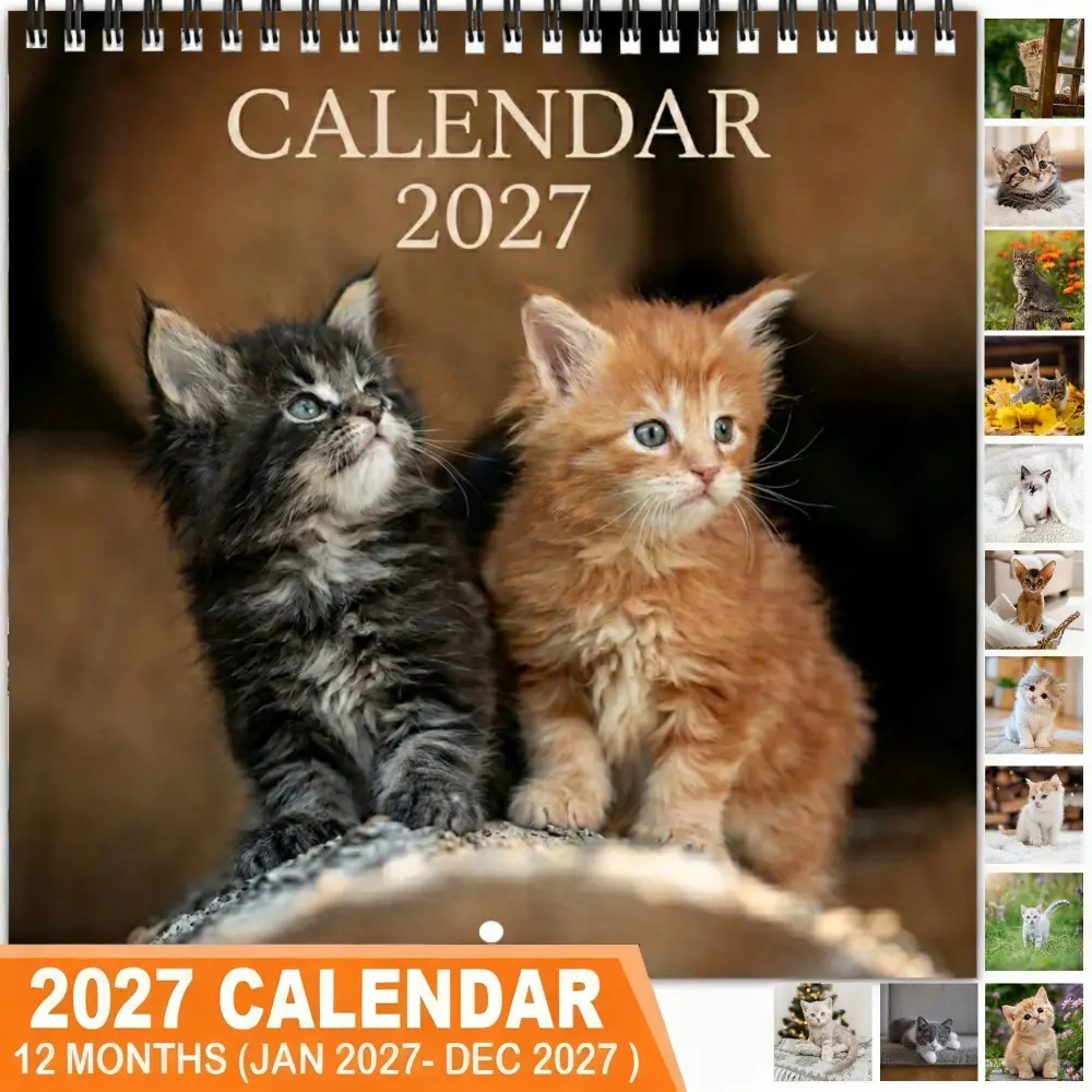 2027 Cat Theme Wall Calendar, 12 Months Colorful Illustrations, 8.3in X 8.3in Perfect Size, Cute Art Decor Gift for Home Office Lovers