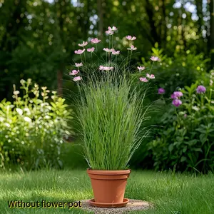 8 Pcs Artificial Onion Grass & Cosmos Flowers, Realistic Plastic Plants, Artificial Floral Plant, Faux Greenery Stems for Outdoor Garden, Indoor Decor, Lifelike Fake Plant