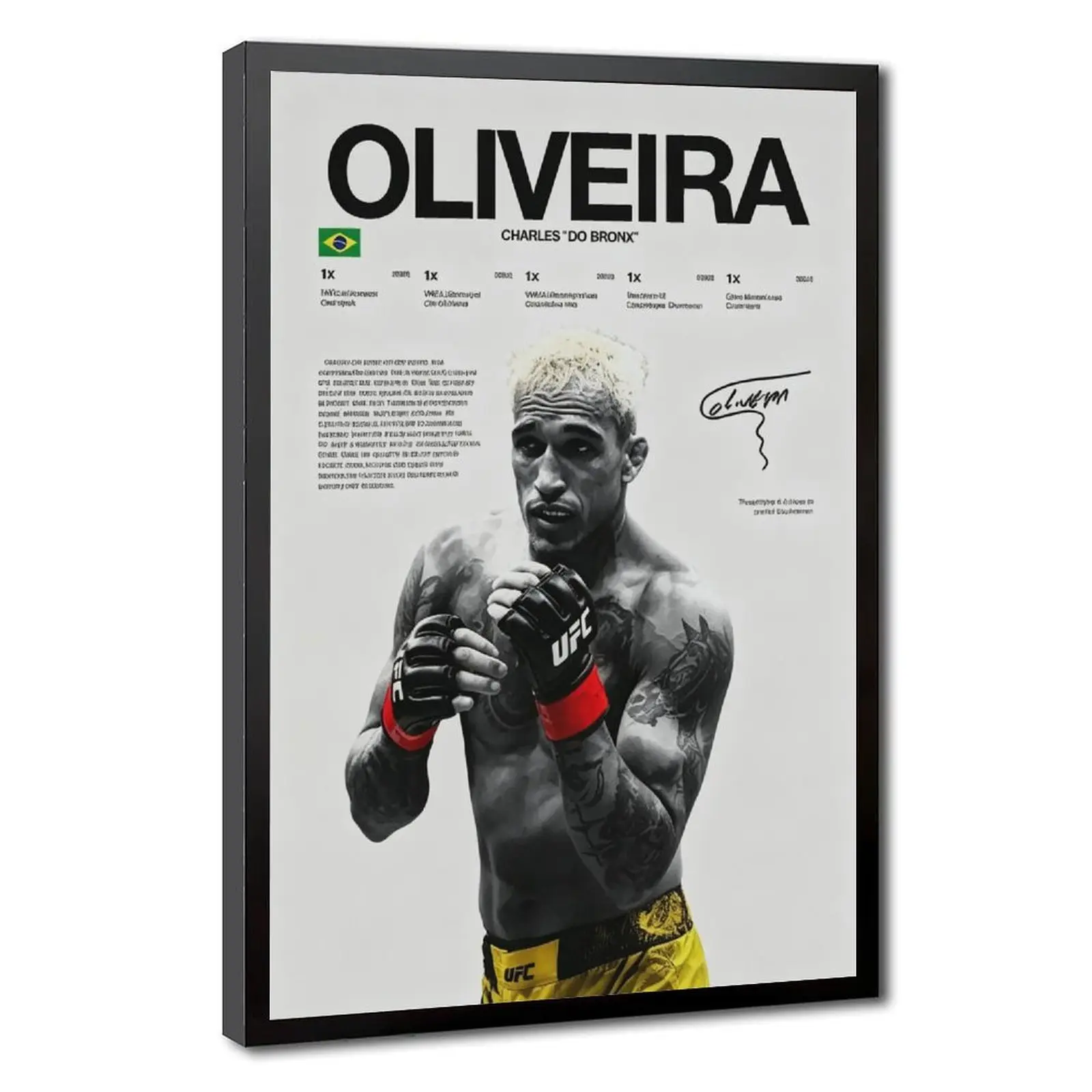 Charles Oliveira UFC Champion Abstract Art Print - Fade Resistant Modern Wall Art, Artistic Indoor Decoration, Wall Poster Gift Idea for MMA Fans