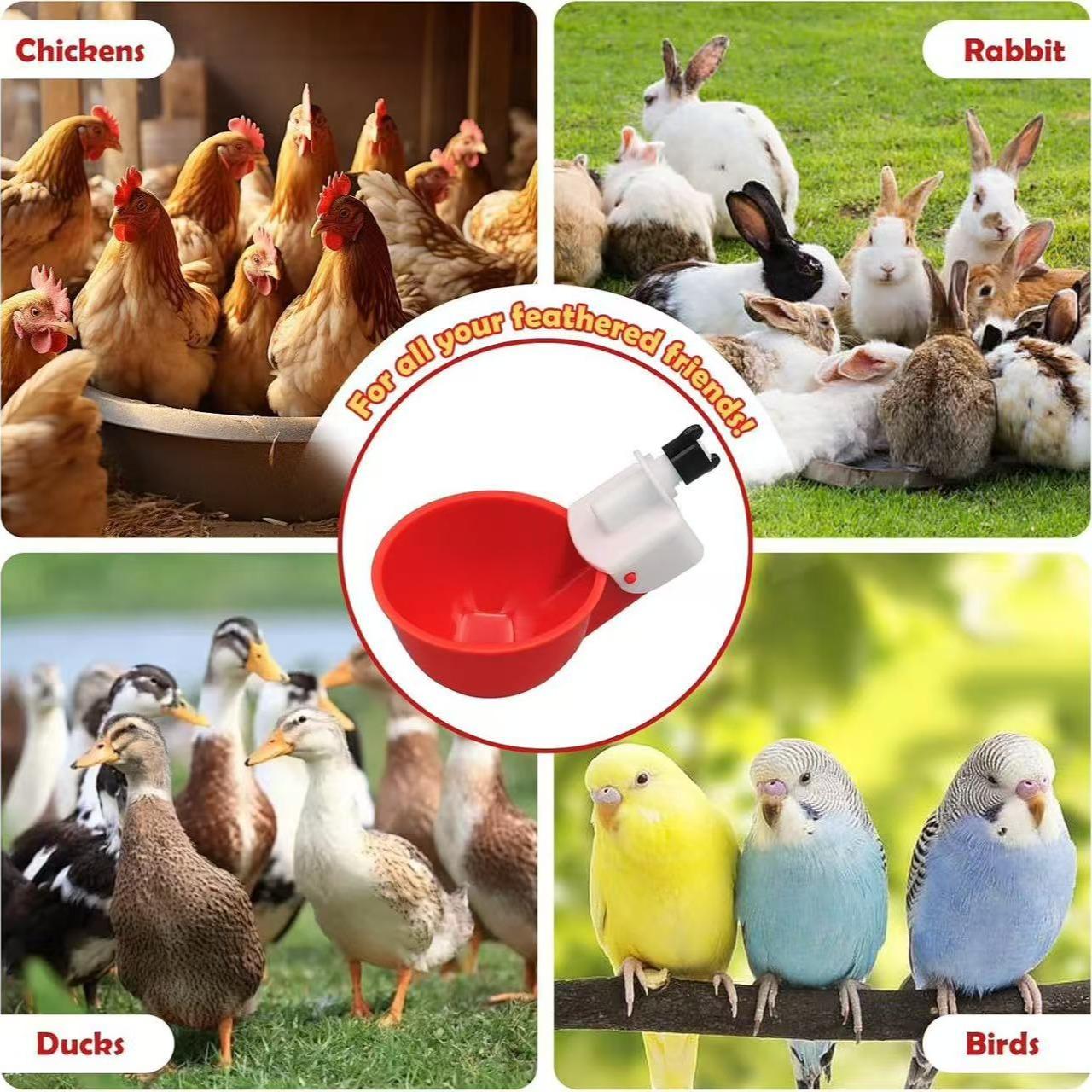 Automatic Chicken Waterer Cup, Easy Install Poultry Feeder for Hen House Farming, Durable PP Material for Chickens Ducks Birds