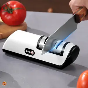 Professional 2-Stage Electric Knife Sharpener for Kitchen Knives with Quick & Easy Sharpening
