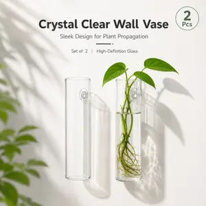 Two-piece transparent wall-mounted glass vase set, stylish cylindrical propagation pots, suitable for indoor plant rooting and wall decoration.
