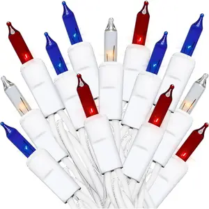 MULTI-SPARKING Red White and Blue String Lights - 35 Count 4th of July Patriotic Mini Christmas Lights for Independence Day Decorations, 8.5 Feet White Wire Incandescent Setfidget toys