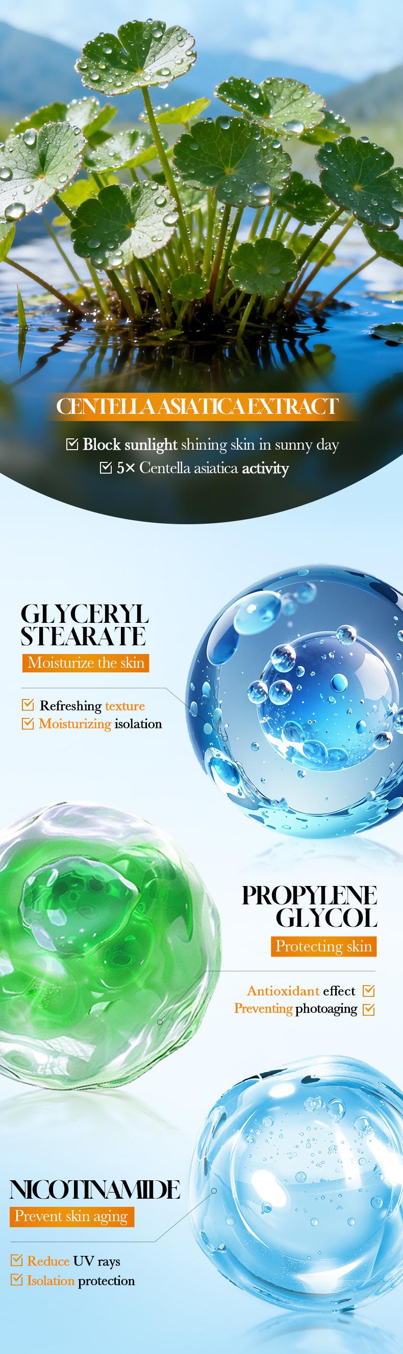 Daily Centella Asiatica Sunblock Broad Spectrum Sunscreen Hydrating Calming Skin Barrier Repair Oil Free Non Sticky Sun Protection SPF50+ PA+++ 50g