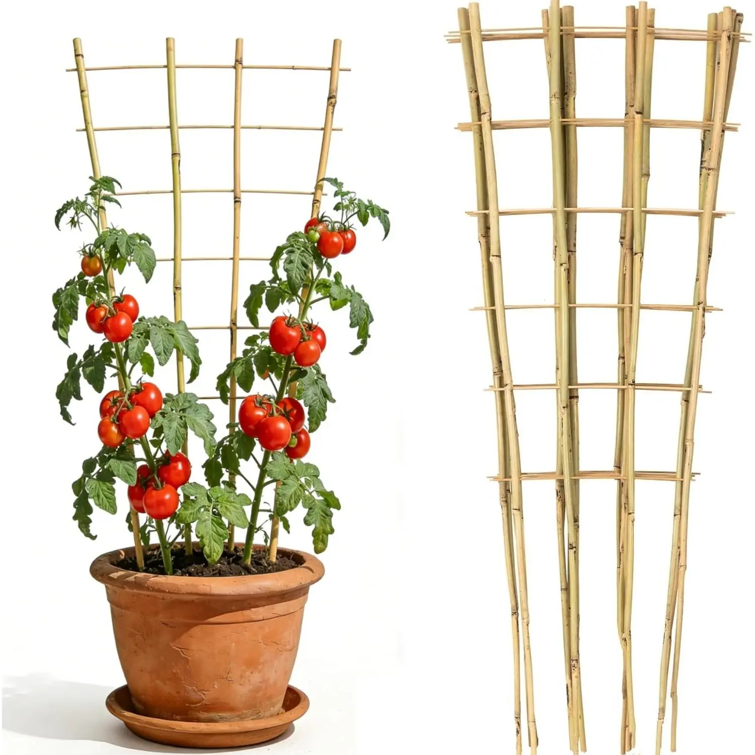 4 Feet Natural Bamboo Trellis 3 Pack, Fan-Shaped Plant Support Trellis for Outdoor and Indoor Climbing Plants, Potted Plants, Vegetables, Cucumbers, Tomatoes