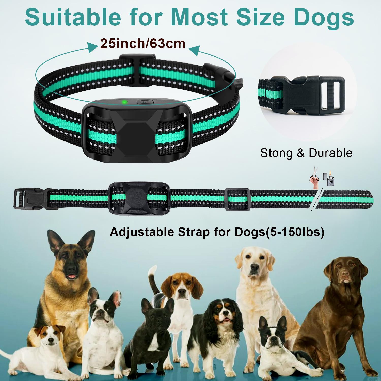 Rechargeable Dog Training Collar, 3300ft Remote Control Dog Training Collar with Adjustable Nylon Strap, Pet Training Accessories for Small To Large Dogs,  Pet Products