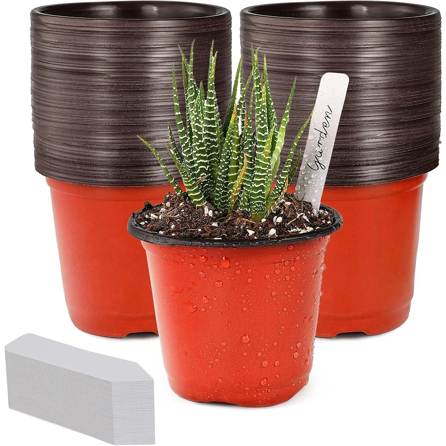 4" Small Plastic   Pot/Pots (100pcs) Seedlings Flower  Container Seed Starting Pots , Come with 100 count  Labels