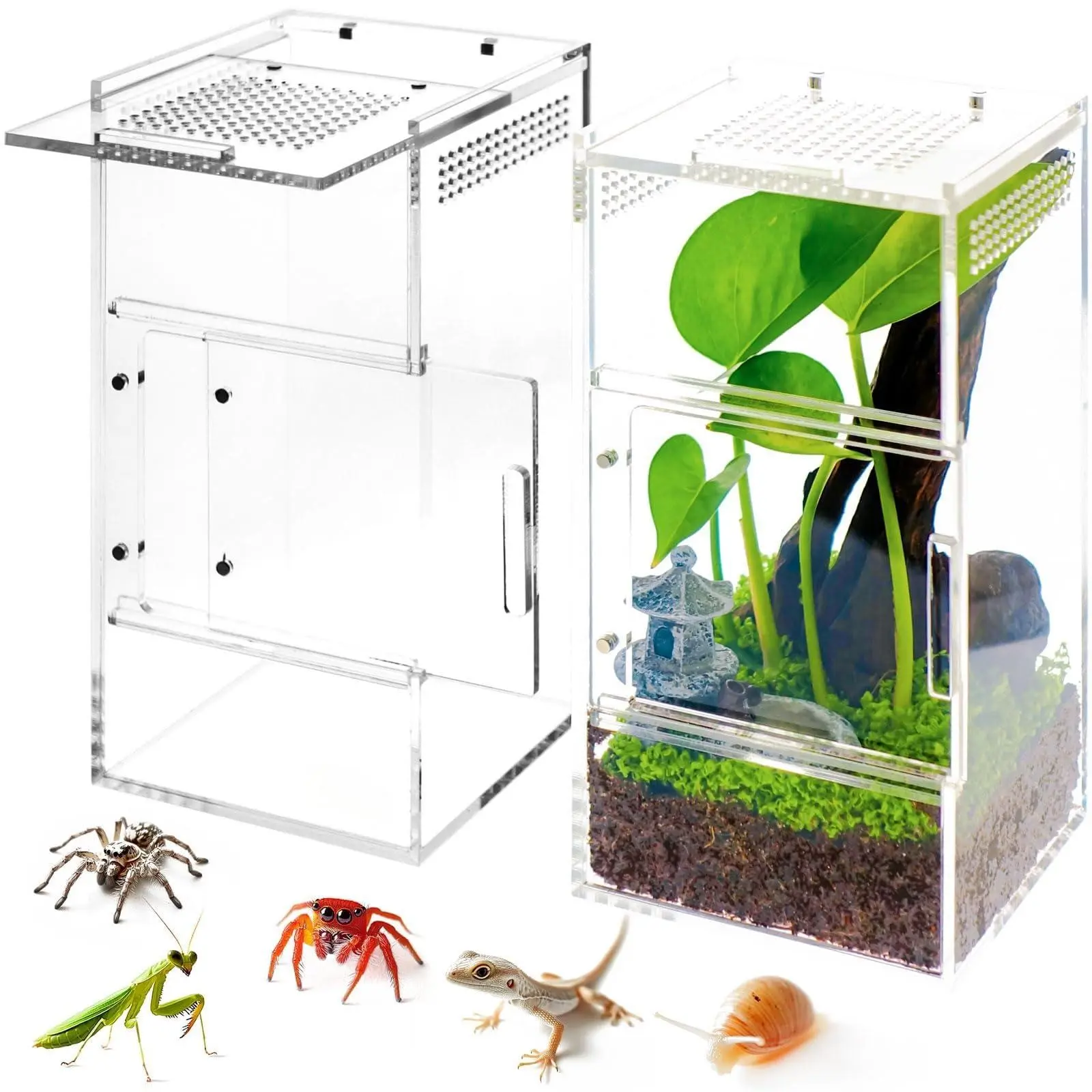Acrylic Terrarium Enclosure for Spiders, Wolf Spiders, Snails, Mantises, Lizards, Small Reptiles, Magnetic Top and Side Doors