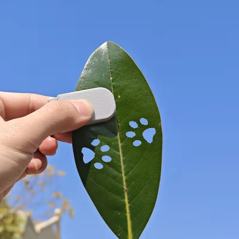 Pet Paw Print Stamp, Unique Footprint Tool, Handmade Art, Suitable for Thin Paper and Leaves, Light Plastic, Ideal Pet Memorial Gift