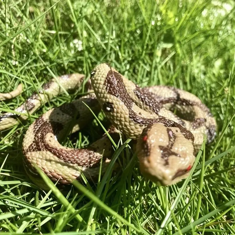 Simulated large python animal model, highly resembling the appearance of wild animals. It can be used for collectors' collection and for educational purposes in science popularization. The visual effect is realistic and suitable for decorating various fes