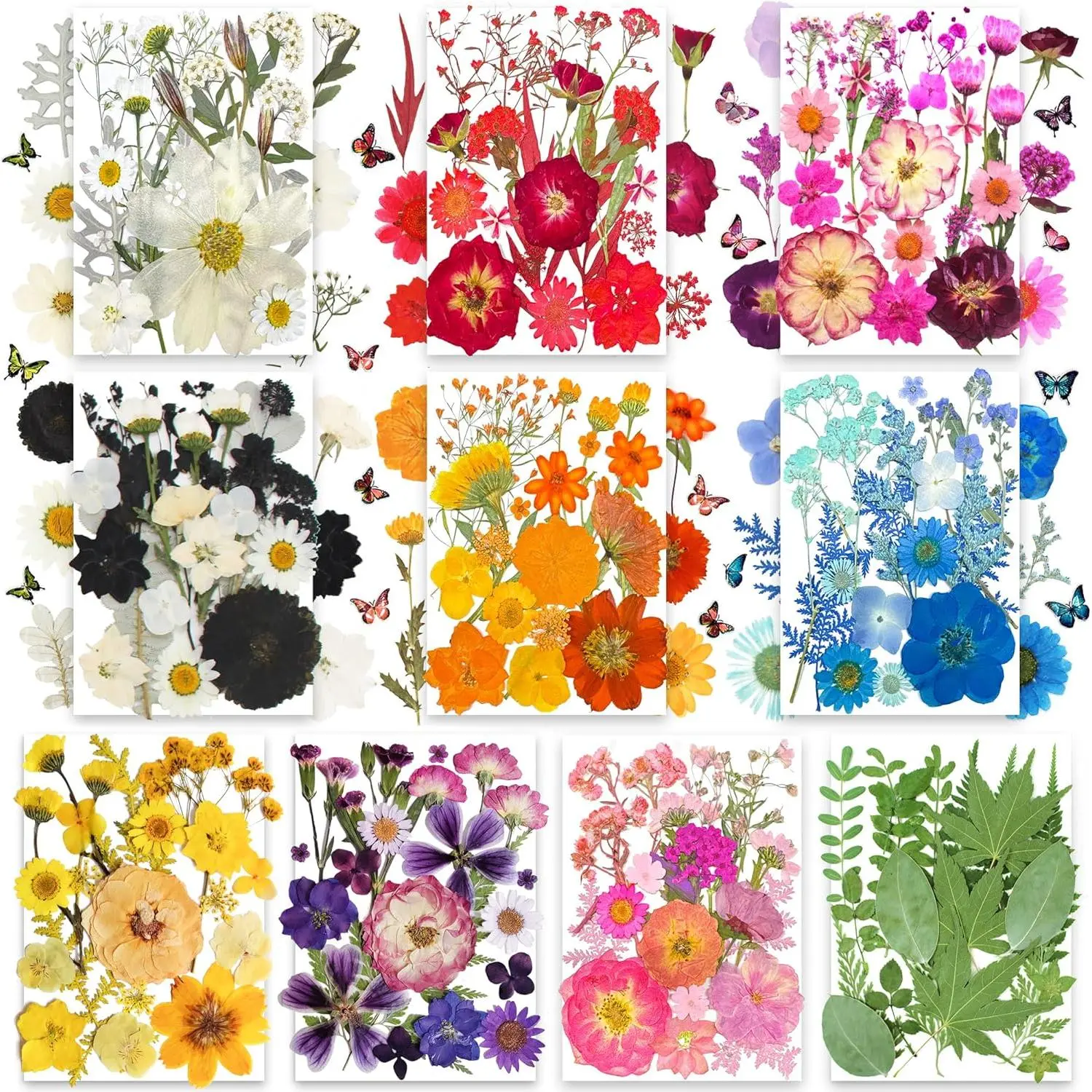 301Pcs Multi-Style Dried Pressed Flowers & Leaves (10 Packs) - Pressed Flower for Crafts, Resin, Nail Art, Candle, Soap, Scrapbooking & Frame Decor