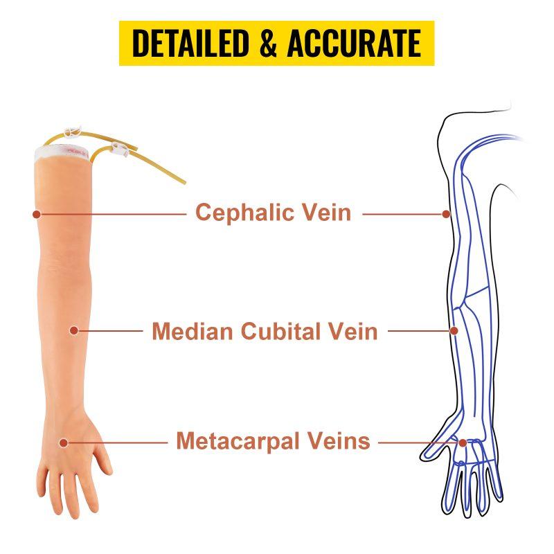 VEVOR 12 PCS Phlebotomy Practice Kit, IV Venipuncture Intravenous Training, High Simulation IV Practice Arm Kit with Carrying Bag, Practice and Perfect IV Skills, for Students Nurses and Professionals VEVOR 12 PCS Phlebotomy Practice Kit, IV Venipuncture Intravenous Training, High Simulation IV Practice Arm Kit with Carrying Bag, Practice and Perfect IV Skills, for Students Nurses and Professionals