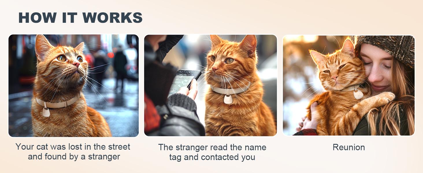 Cat Collar with Name Tag Breakaway: Kitten Collars for Girl Boy Cats with Writable Name Tags, Ultra Soft & Elastic Adjustable (6"-12") Cat Collar with Break Away Safety Buckle, Khaki