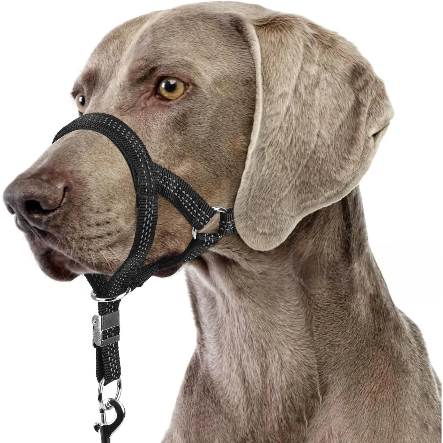Sturdy No Pull Head Collar for Medium Large Dogs, Gentle Reflective Head Halter with Safety Link, Adjustable Nylon Dog Training Muzzle Leash for Walking Control (Black, L)