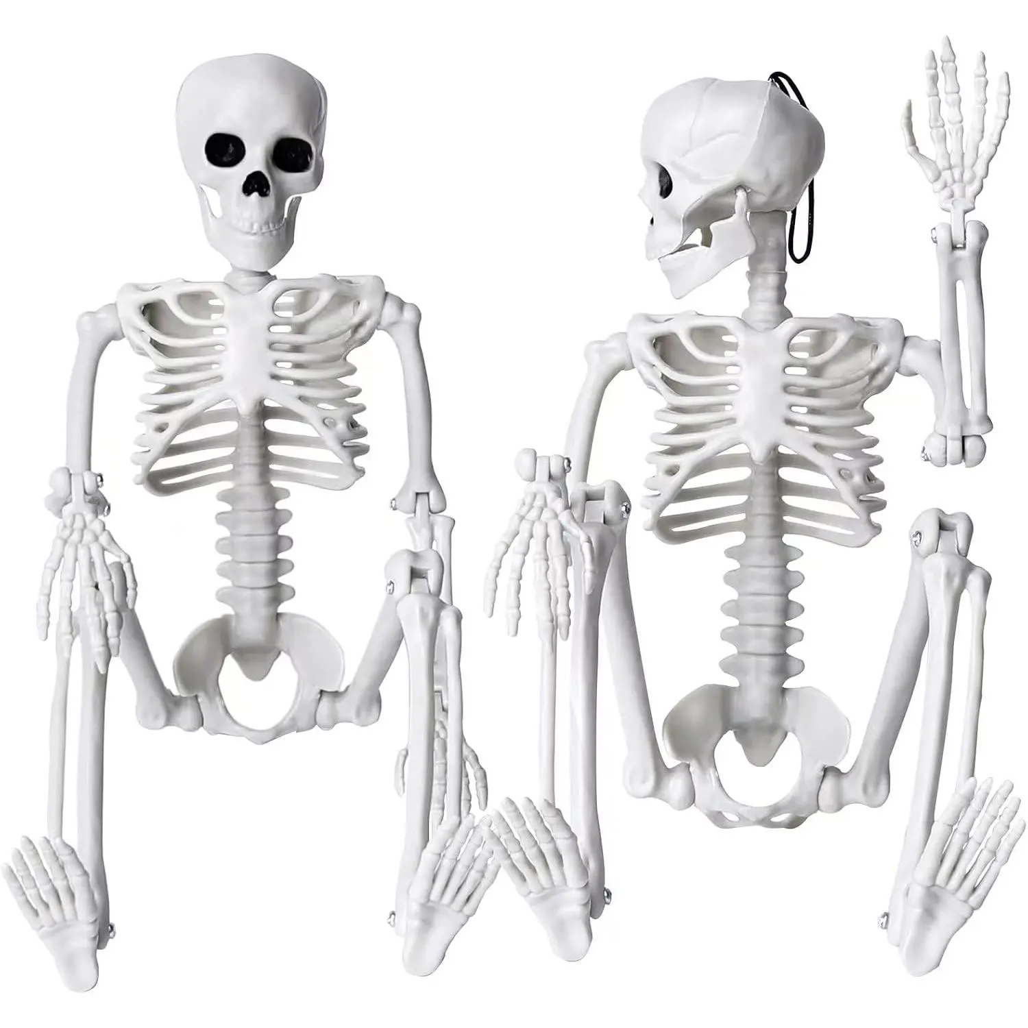 2 count Skeleton Halloween Decoration, 16” Full  Posable  Plastic Decoration with Movable Joints for Indoor Outdoor
