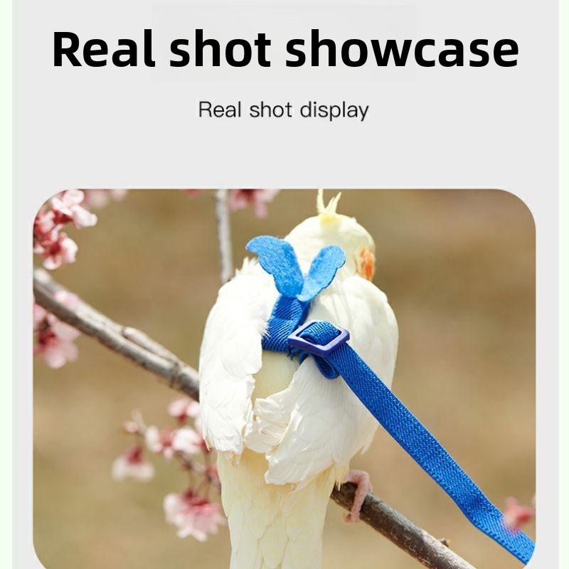 Adjustable Bird Harness Leash 2m Hand Rope Safe Escape Proof for Parrots Conures Cockatiels Outdoor Training Walking Pet Supplies
