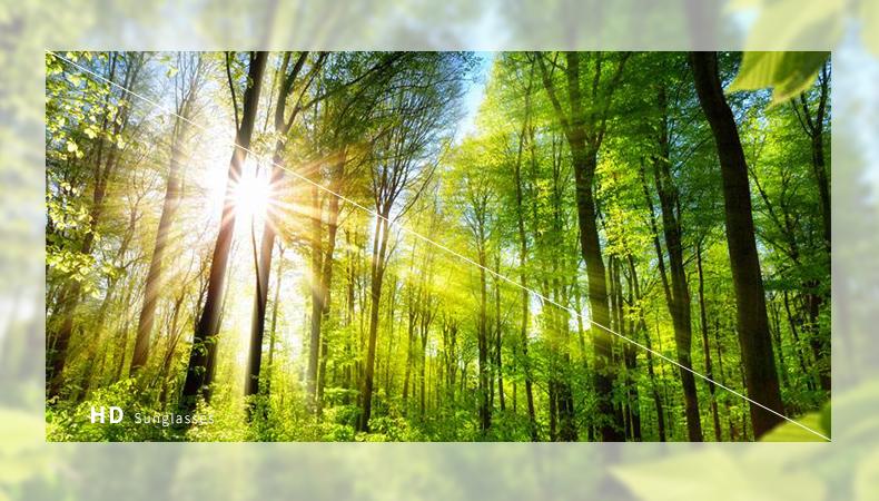 Large frame ski goggles with colored lenses and sponge anti-collision anti-glare lenses Outdoor sports snowboarding and snowboar