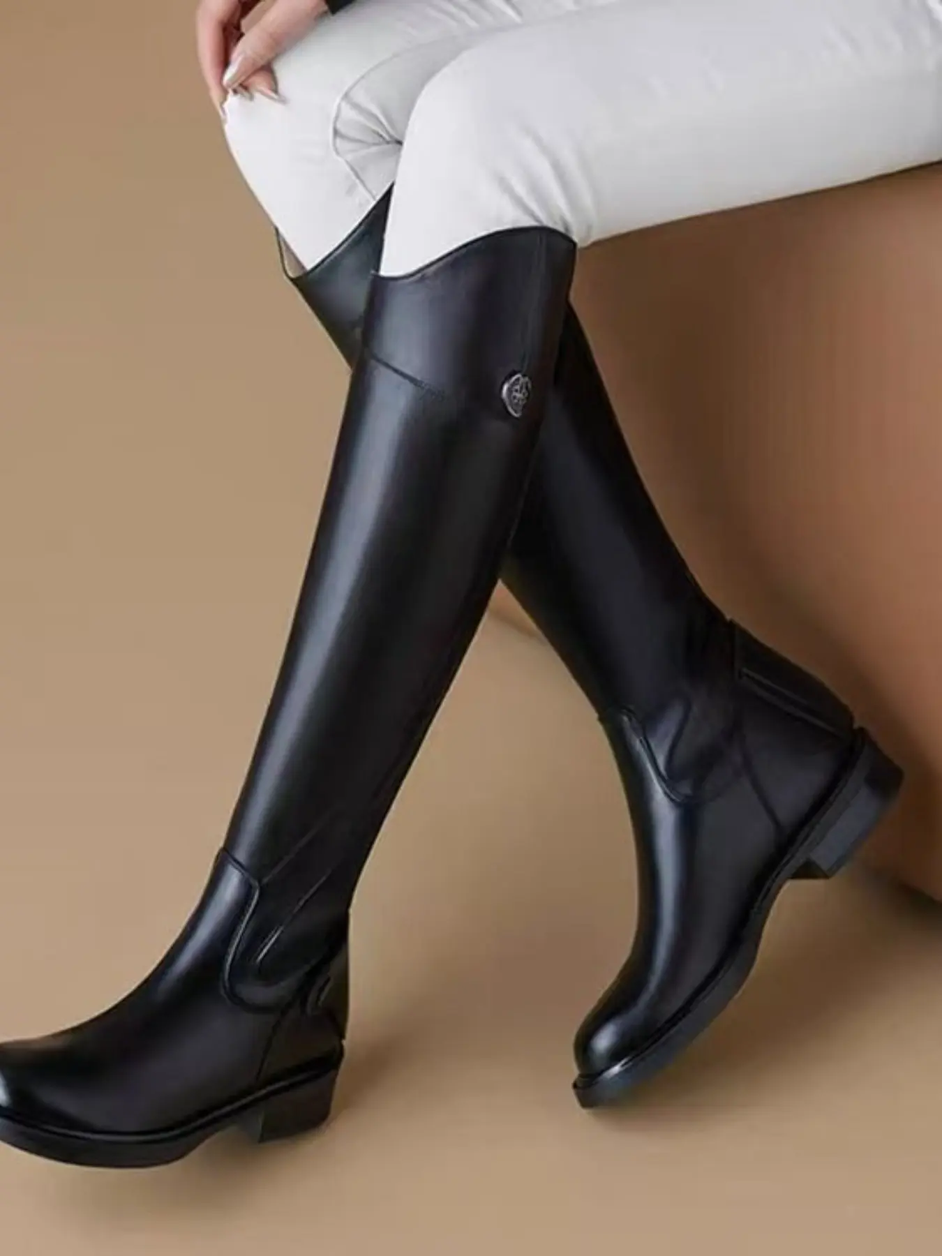 2026 New Classic Metal Badge V-Neck Knight Boots for Women, Low Heel Side Zip High Tube Equestrian Boots, Slimming Over-The-Ankle Long Boots