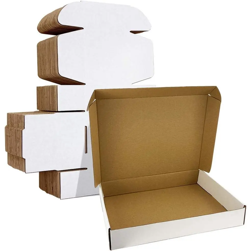 13x10x2 Inches White Corrugated Cardboard Literature Mailers, Set of 25 Shipping Boxes