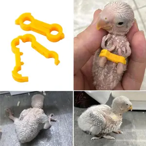 4/5/6mm Parrot Corrector Rutin Chicken Budgie Peony Budgie Cockatiel Nestling‌ Eight-Character Correction Ring Bird Supplies