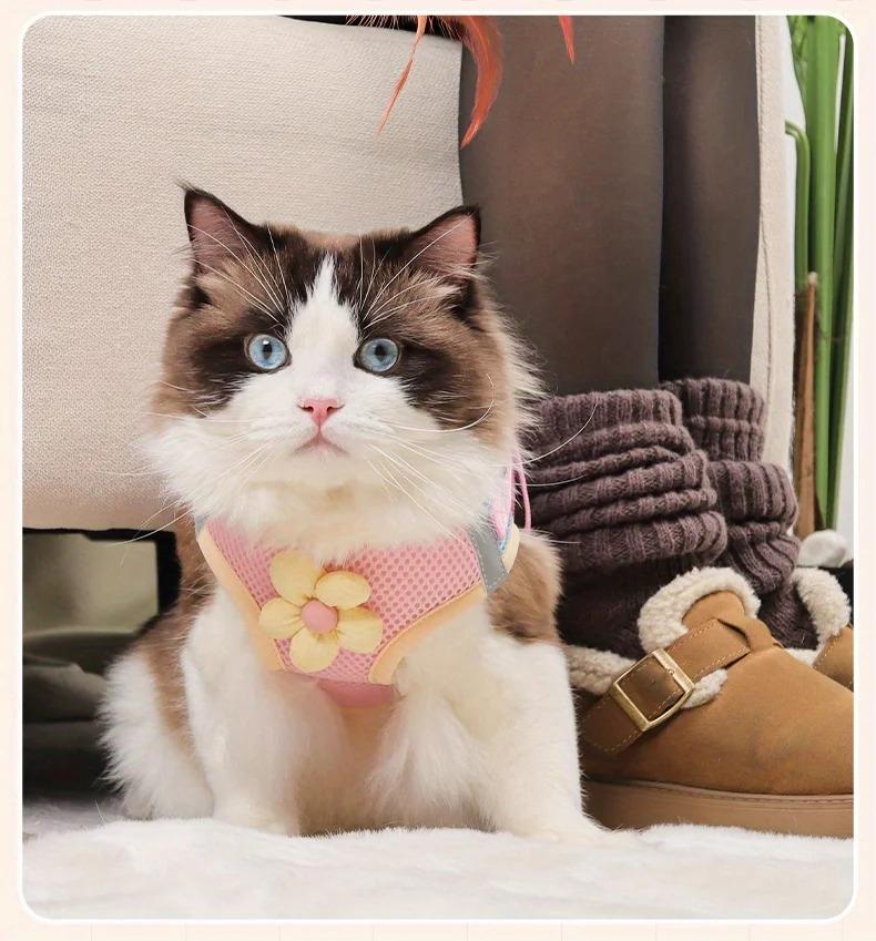 Cat Dog Harness and Leash Breathable Mesh Pet Chest Straps for Cats Puppy Walking Lead Ragdoll Chihuahua Vest Harness Bulldog