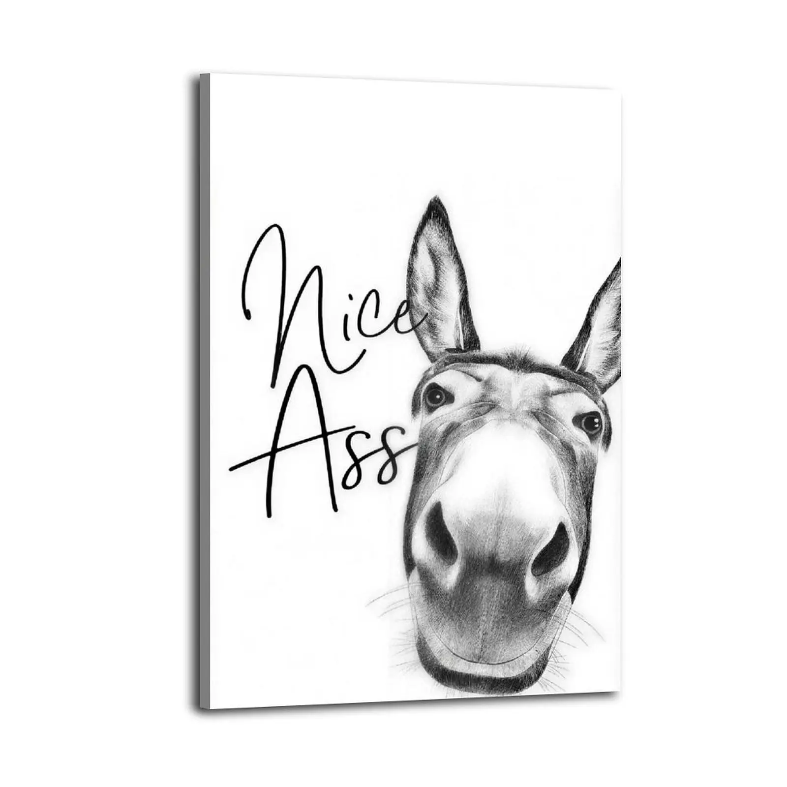 Funny Donkey Cartoon Art Canvas Poster - Frameless, Bright Print, Multi-Layer Home Decor for Living Room & Bedroom - Modern Family Gift, Aesthetic Office Wall Art