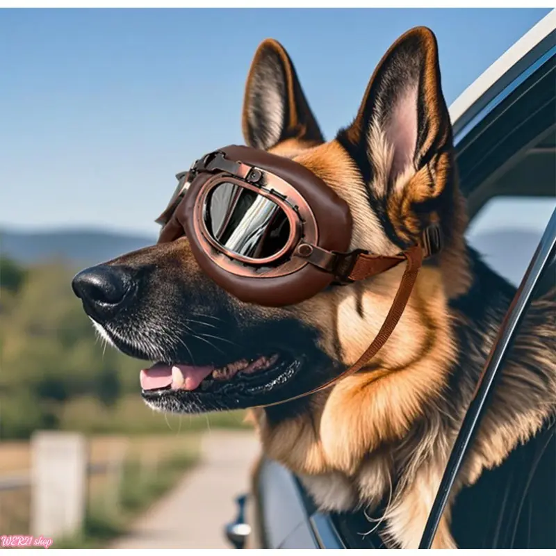 Windproof Adjustable Dog Goggles for Medium Large Dogs, Pet Sunglasses Eye Protection Headwear for Cycling Hiking Driving Outdoor