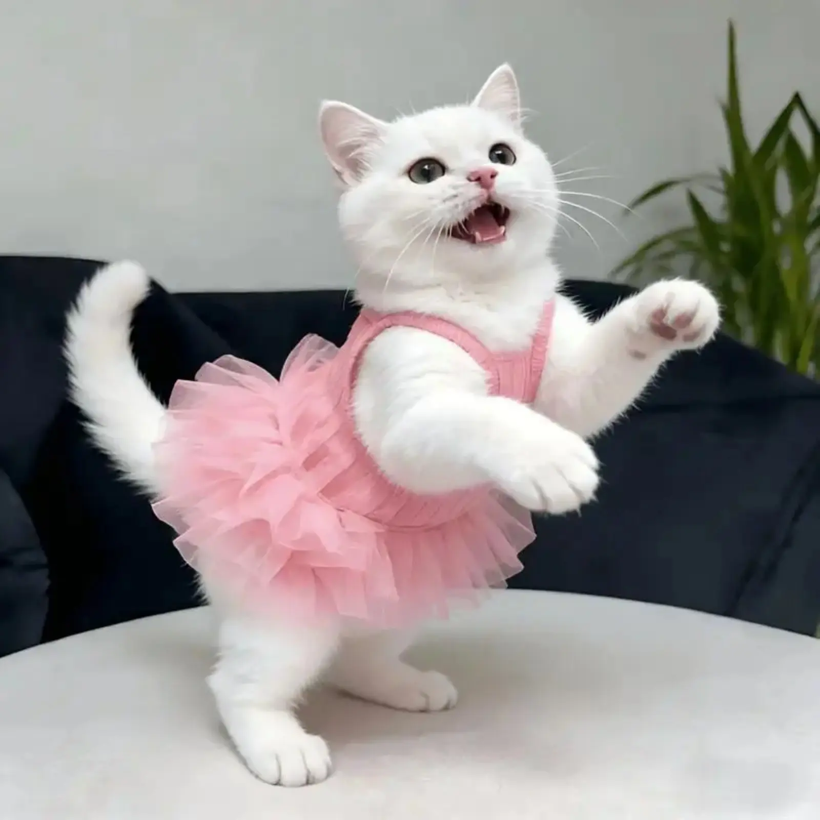 Small Dog & Cat Tutu Sundress Harness - Breathable Fabric, No Sleeves, Pull-Through Design, Cooling Ventilation, CA Prop 65-Free Princess Pet Apparel for Teddy Bichon (Spring Summer Sports & Outdoor Use)