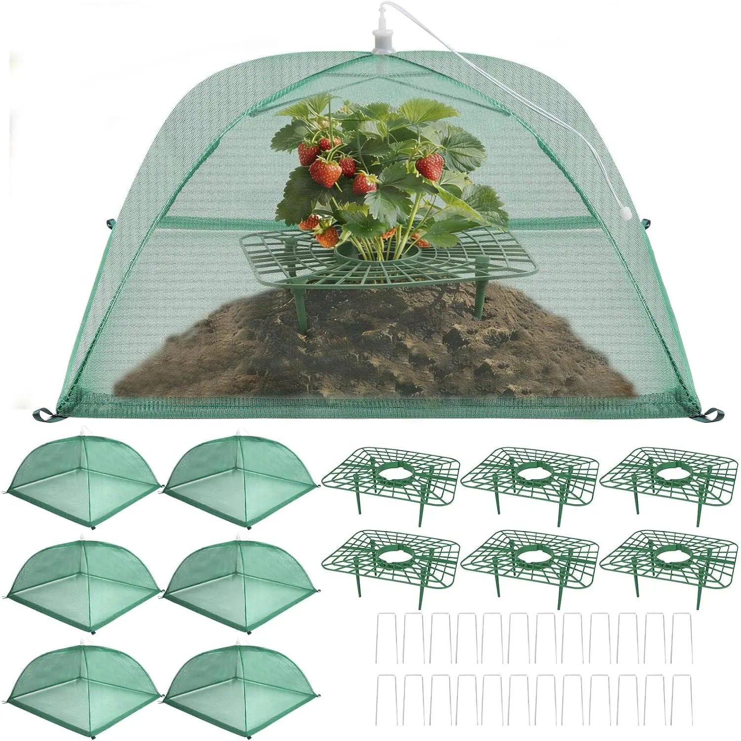 6 Sets Strawberry Plant Support with Mesh Plant Cover, Strawberry Growing Rack Kit with 24 Iron Plant Nails for Garden, Strawberry Growing Frame with Protective Net for Strawberries Tomatoes Veggies