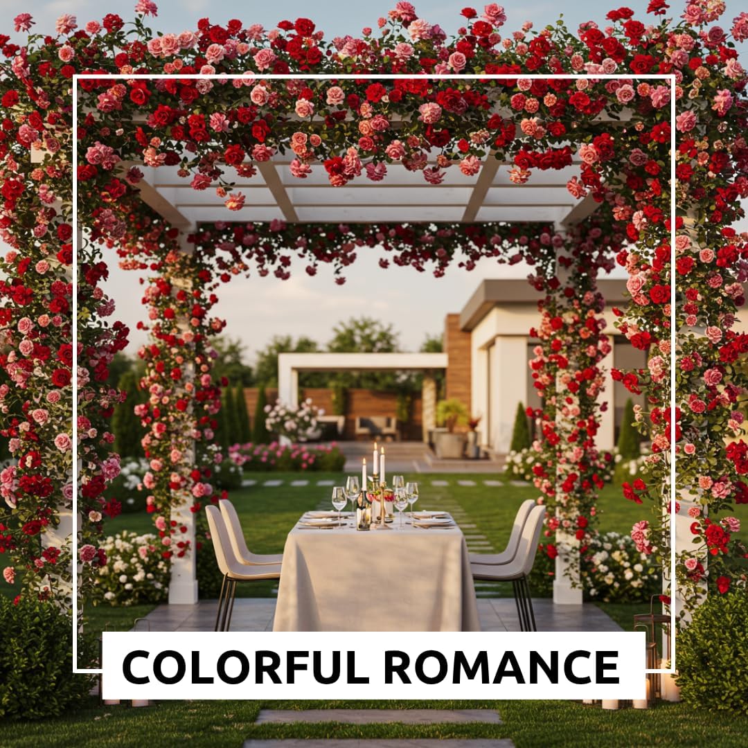 200 PCS Climbing Rose Rosa Seeds for Planting Outdoors  Garden